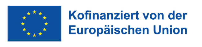 Co-funded by the European Union